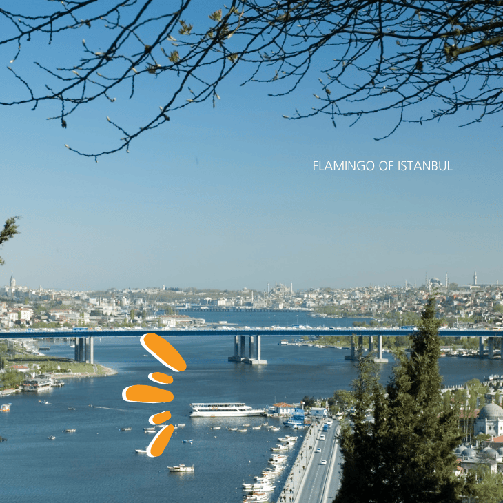 Half Day Golden Horn Tour first image