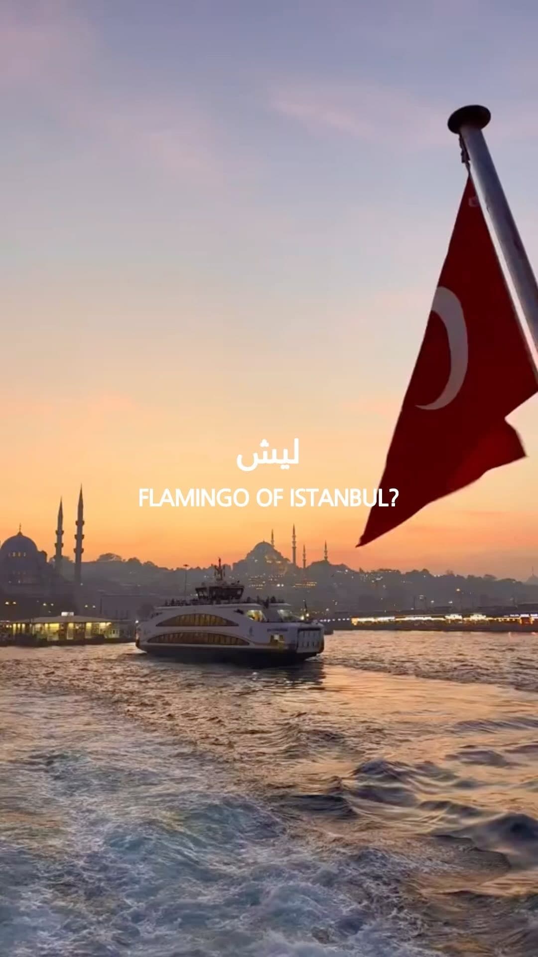 Feed Image