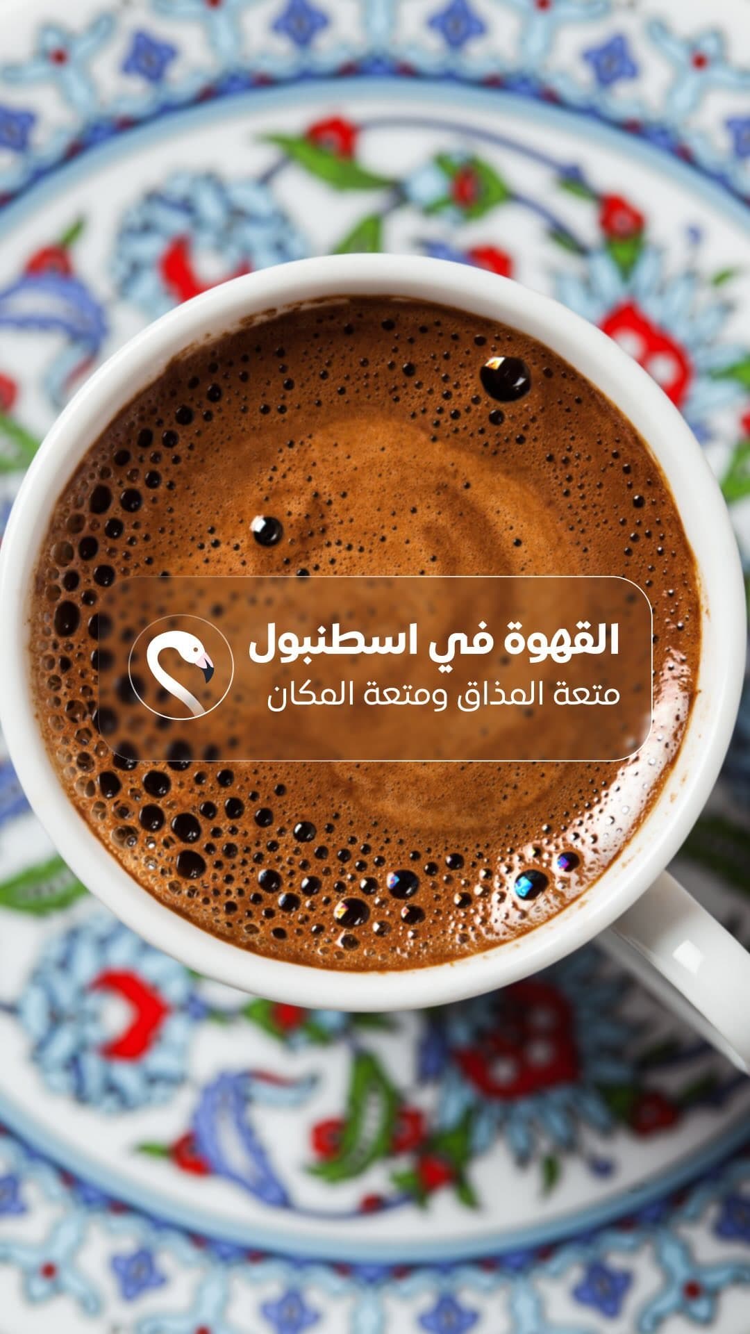 Feed Image