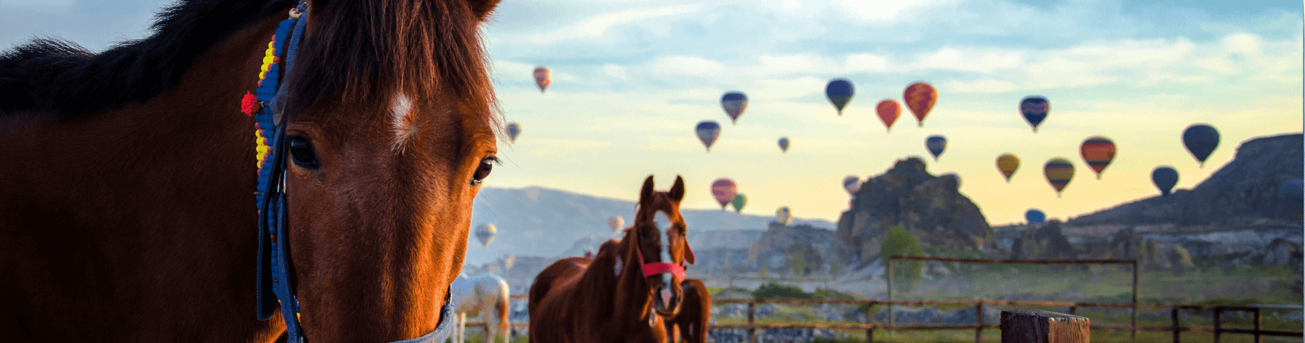 Top 5 Turkish Cities for Winter Tourism Image