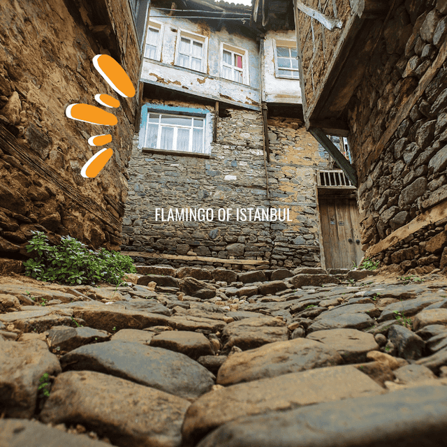 Rural Bursa Tour Image
