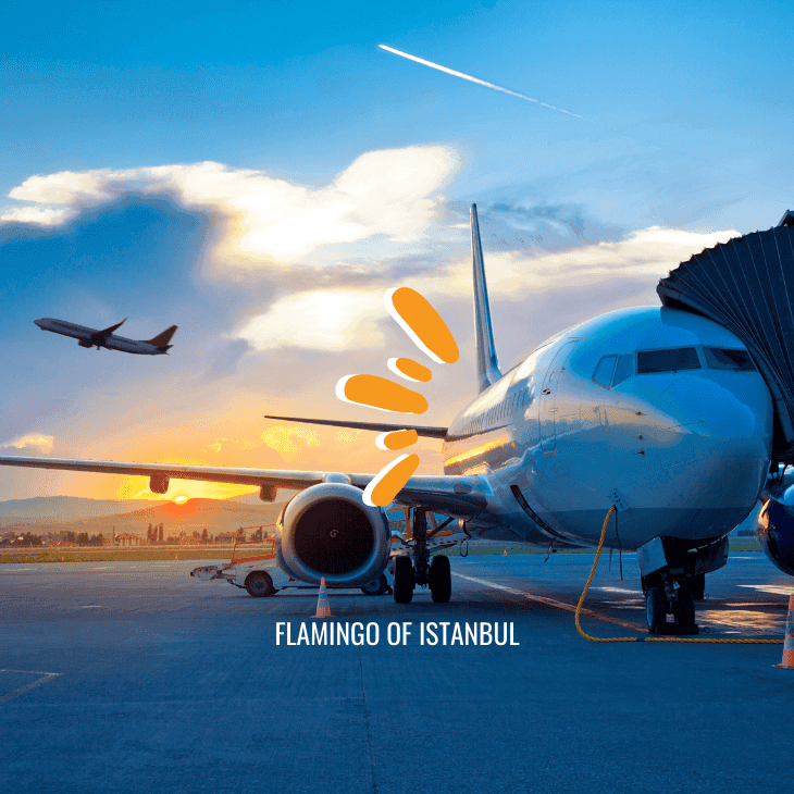Pick up Istanbul Airport second image