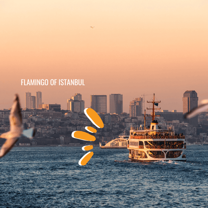 undefined Image