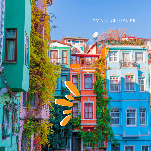 Half Day Golden Horn Tour second image