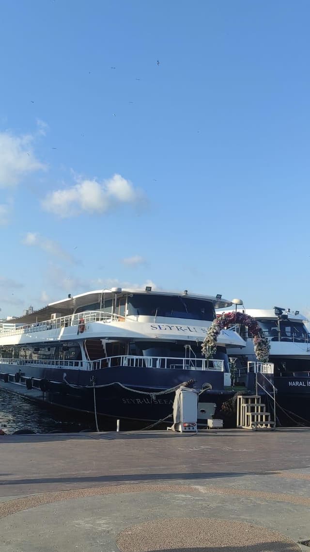 peral bosphorus cruise forth image